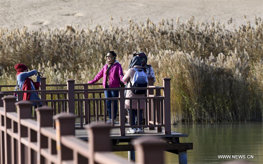 CHINA-NINGXIA-SHAHU LAKE-SCENERY (CN)