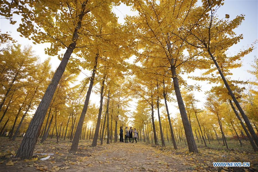 CHINA-HEBEI-TAIHANG MOUNTAINS-SCENERY (CN)