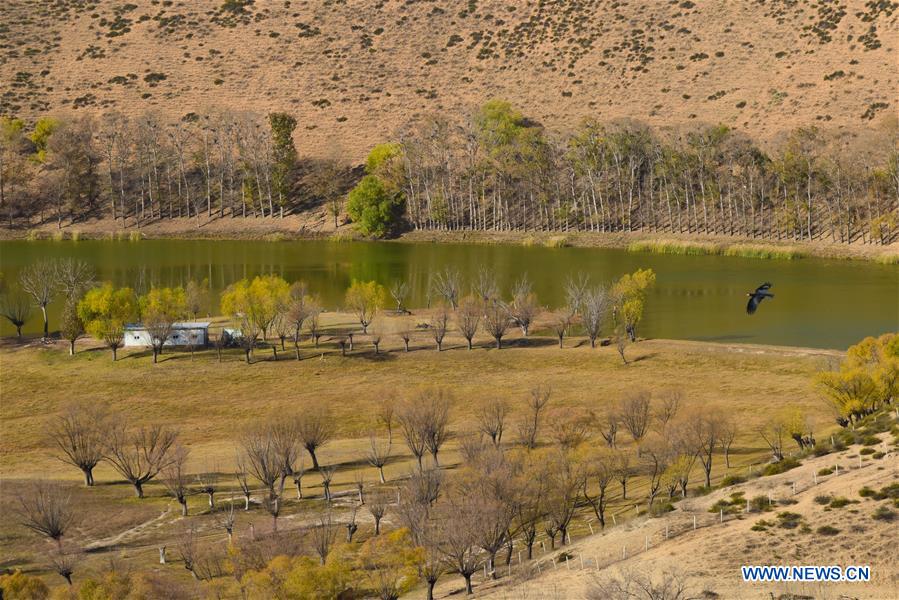 CHINA-INNER MONGOLIA-ORDOS-XARUSGOL RIVER (CN)