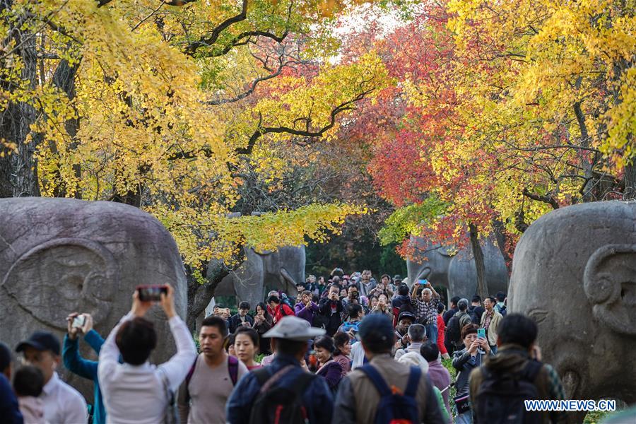 CHINA-NANJING-AUTUMN-XIAOLING MAUSOLEUM-SCENERY (CN)