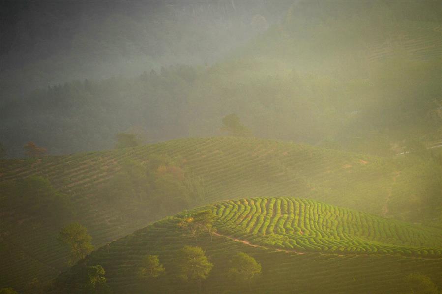 CHINA-FUJIAN-WUYISHAN-SCENERY (CN)