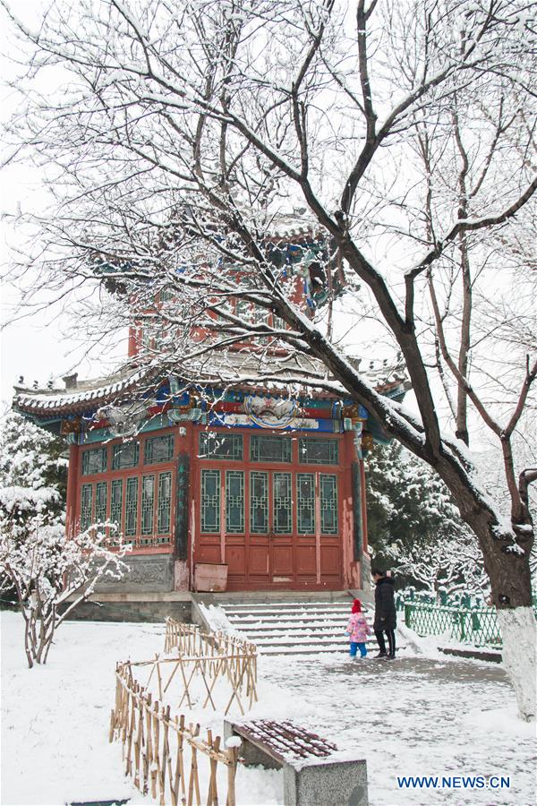 CHINA-BEIJING-SNOW SCENERY (CN)