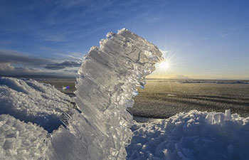 Amazing scenery of China's Xinjiang attracts millions of tourists