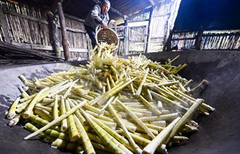 In pics: bamboo shoots collectors in China's Chongqing