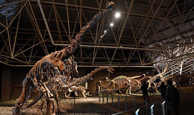 Tourists view dinosaur fossils at World Dinosaur Valley in SW China