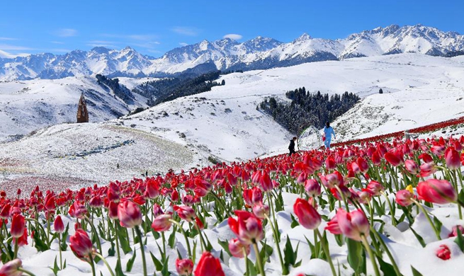 Weekly choices of Xinhua photo