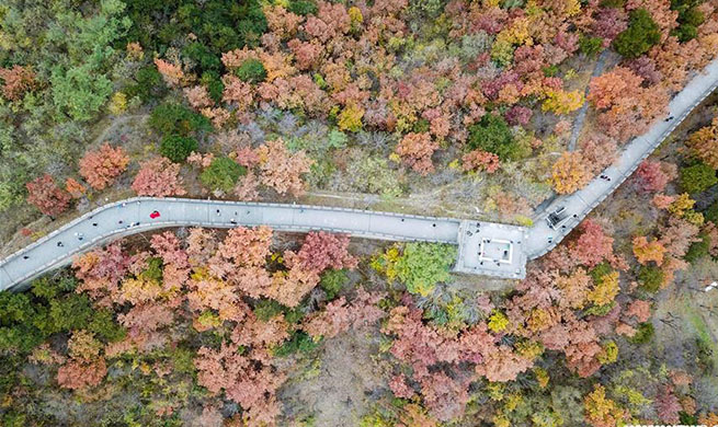 Autumn scenery of Mutianyu Great Wall in Beijing