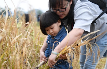 Efforts made to boost rural tourism in Huzhou, China's Zhejiang