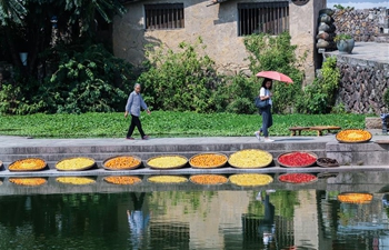 Ancient towns in east China's Zhejiang attract visitors during National Day holiday