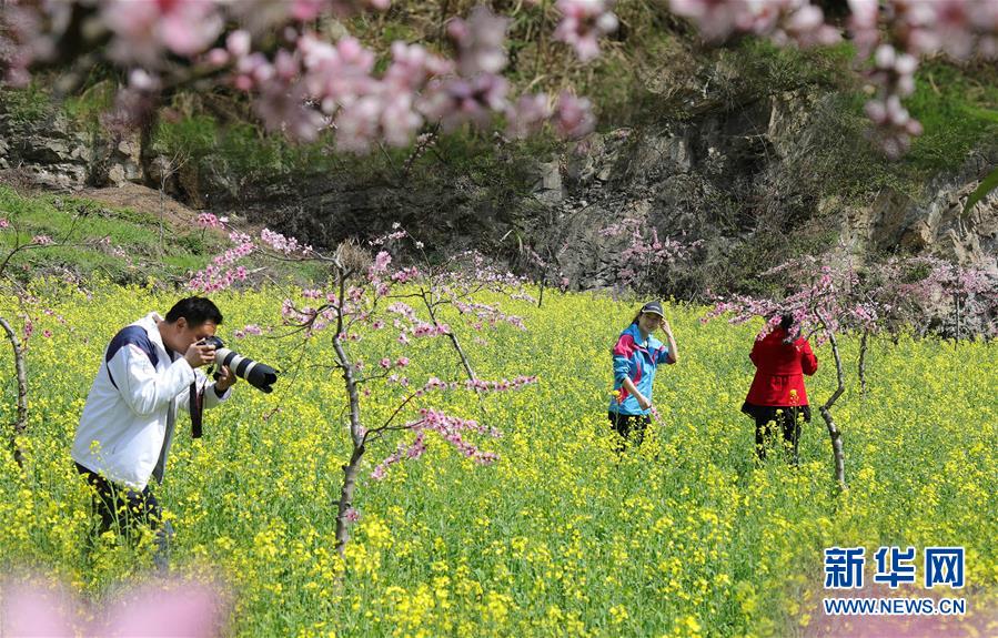 #（社會(huì)）（5）踏春賞景正當(dāng)時(shí)