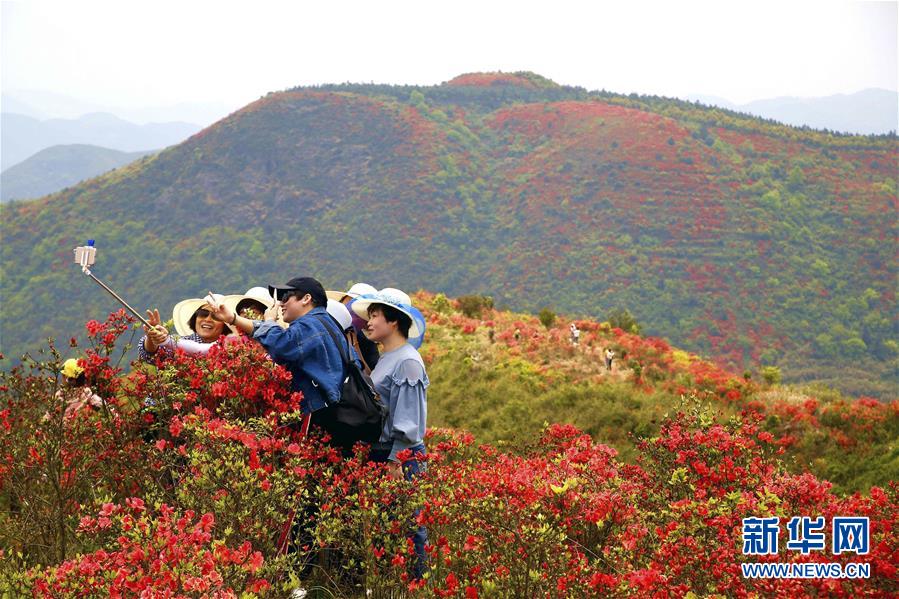 #（環(huán)境）（3）花開在四月