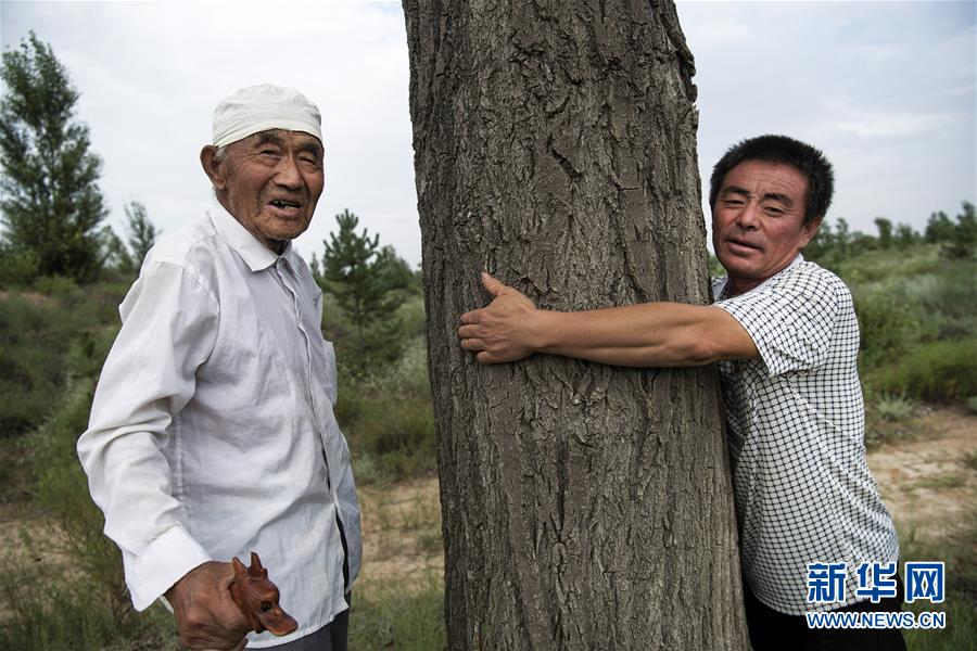 （壯闊東方潮 奮進新時代——慶祝改革開放40年）（11）感受“毛烏素”的生機