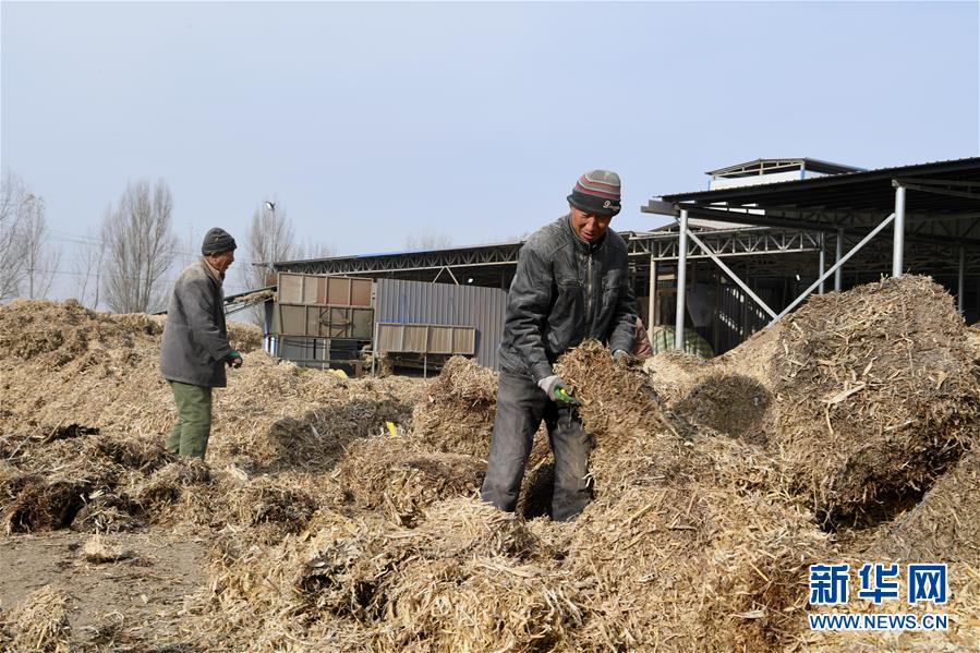 （在習(xí)近平新時代中國特色社會主義思想指引下——新時代新氣象新作為·鄉(xiāng)村振興戰(zhàn)略·圖文互動）（2）“與其放火，不如打包”——山西渾源秸稈綜合再利用見聞