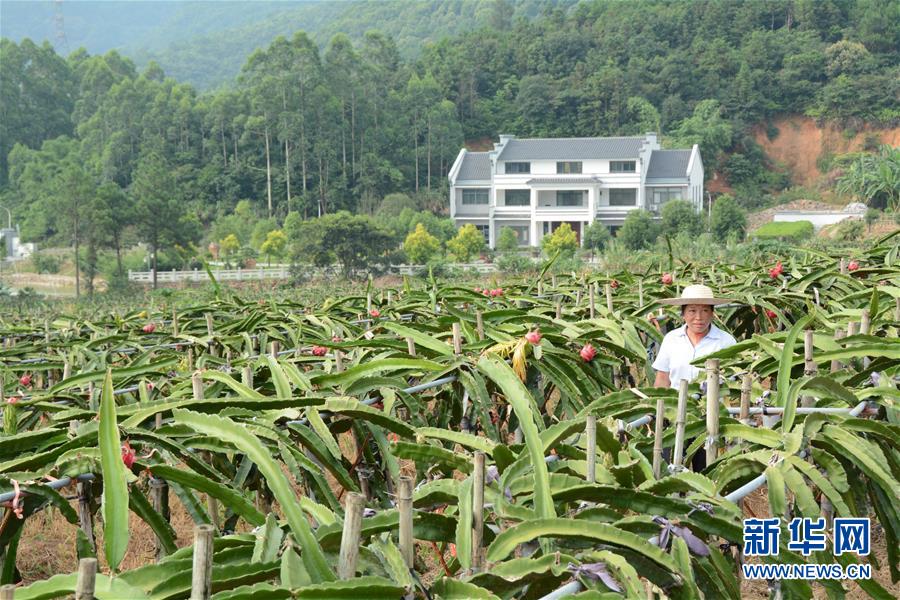 （在習(xí)近平新時(shí)代中國特色社會(huì)主義思想指引下——新時(shí)代新作為新篇章·總書記關(guān)心的百姓身邊事·圖文互動(dòng)）（6）大污染變身“大寶藏”：治理畜禽糞污，他們這樣干！