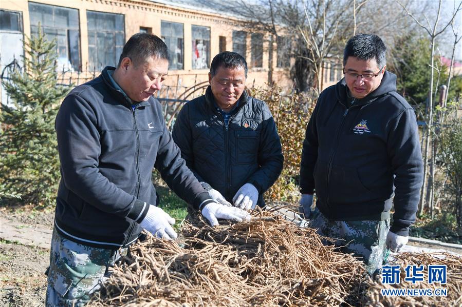 （在習近平新時代中國特色社會主義思想指引下——新時代新作為新篇章·總書記關(guān)心的百姓身邊事·圖文互動）（6）一本“村官”日記里的扶貧路——小故事里的大情懷之四