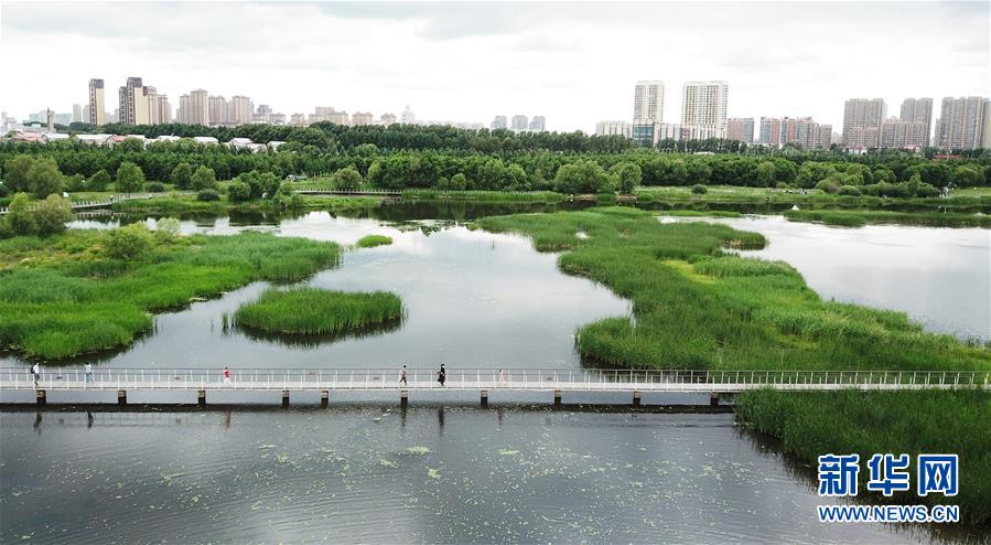 （走向我們的小康生活·圖文互動）（1）水清、地綠、空氣新——最北省份黑龍江繪就生態(tài)治理新畫卷