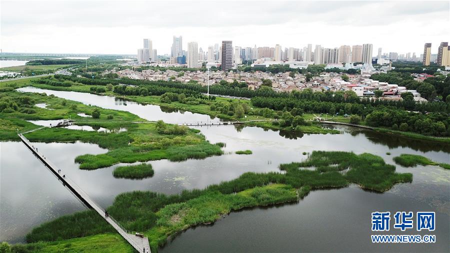 （走向我們的小康生活·圖文互動）（2）水清、地綠、空氣新——最北省份黑龍江繪就生態(tài)治理新畫卷