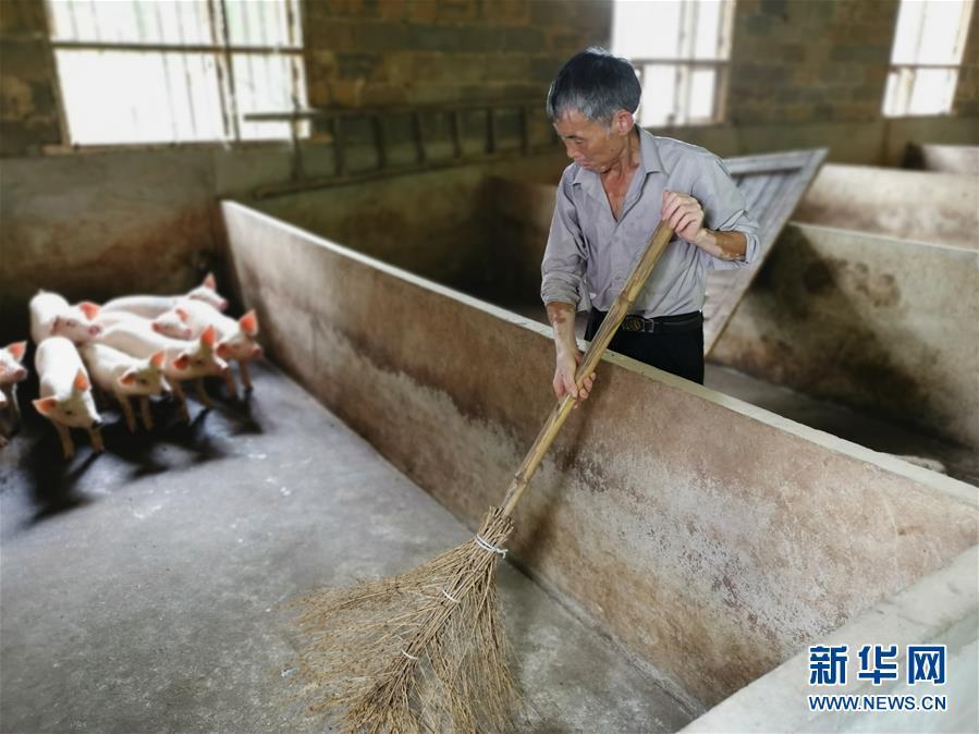 （走向我們的小康生活·圖文互動）（2）長沙：以“繡花功”精準攻破“插花貧”