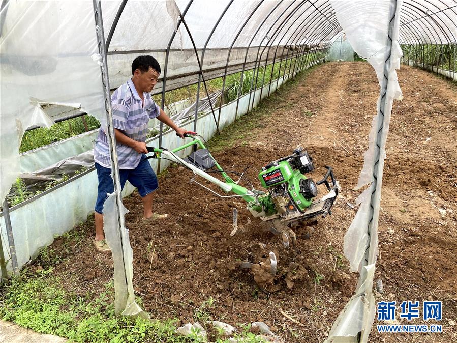 （防汛抗洪·圖文互動）（3）修路通水忙重建 補種搶收復生產(chǎn)——湘西山洪后恢復生產(chǎn)生活見聞