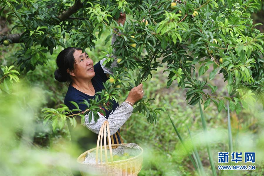 （新華全媒頭條·走向我們的小康生活·圖文互動）（7）大城大鄉(xiāng)的“幸福協(xié)奏曲”——重慶推動高質量發(fā)展創(chuàng)造高品質生活紀事