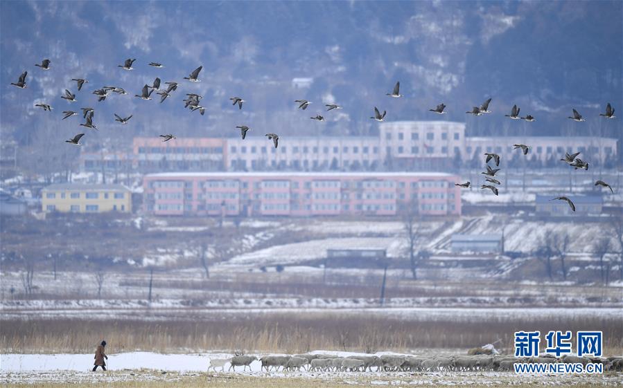 （新華全媒頭條·走向我們的小康生活·圖文互動）（14）黑土地上是我家——在吉林，一瞥中國東北鄉(xiāng)村美麗未來