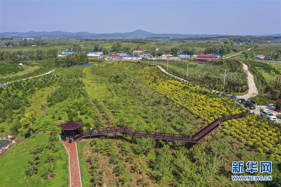 （新華全媒頭條·走向我們的小康生活·圖文互動）（16）黑土地上是我家——在吉林，一瞥中國東北鄉(xiāng)村美麗未來