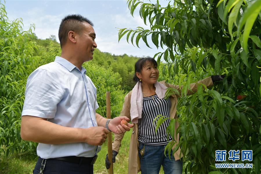 （新華全媒頭條·圖文互動(dòng)）（4）幕阜山“搬窮”記