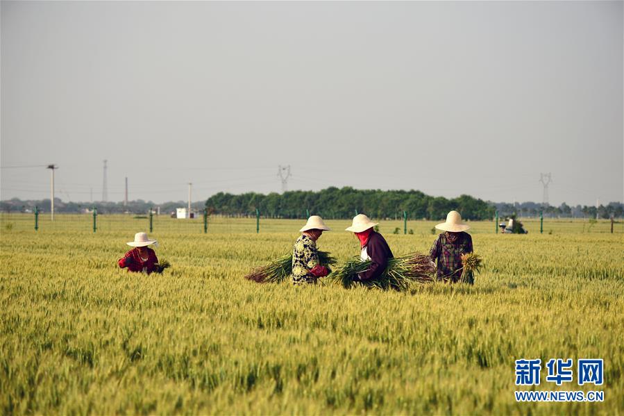 （新華全媒頭條·迎接兩會(huì)特別報(bào)道·圖文互動(dòng)）（1）不同尋常的兩會(huì) 萬眾一心的力量——寫在2020年全國兩會(huì)召開之際