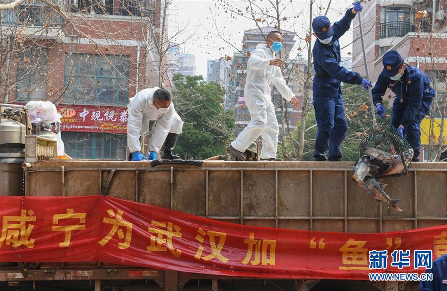 （新華全媒頭條·圖文互動）（12）從人民中汲取磅礴力量——習(xí)近平總書記同出席2020年全國兩會人大代表、政協(xié)委員共商國是紀(jì)實(shí)