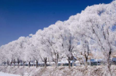 全國(guó)初雪時(shí)間表出爐 看看你離初雪還有多遠(yuǎn)？