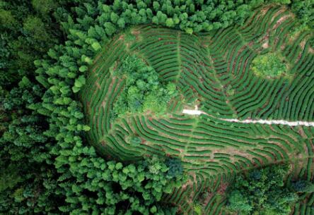 福建龍巖：高效用地，提升生態(tài)環(huán)境水平