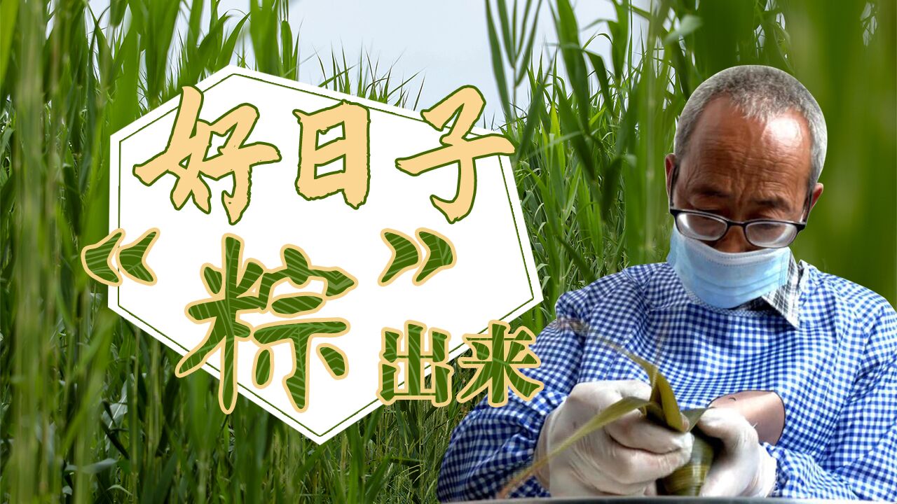 【脫貧印記】好日子 “粽”出來