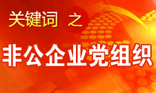 王京清：非公企業(yè)建立黨組織服務(wù)企業(yè)發(fā)展、服務(wù)員工