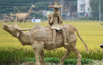 富陽(yáng)：創(chuàng)意稻草人亮相稻田