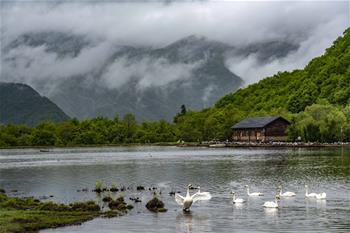 醉美神農架大九湖